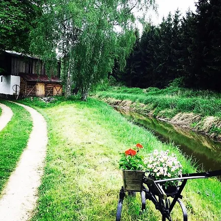 Pod Lasem „2” * Pasłęk