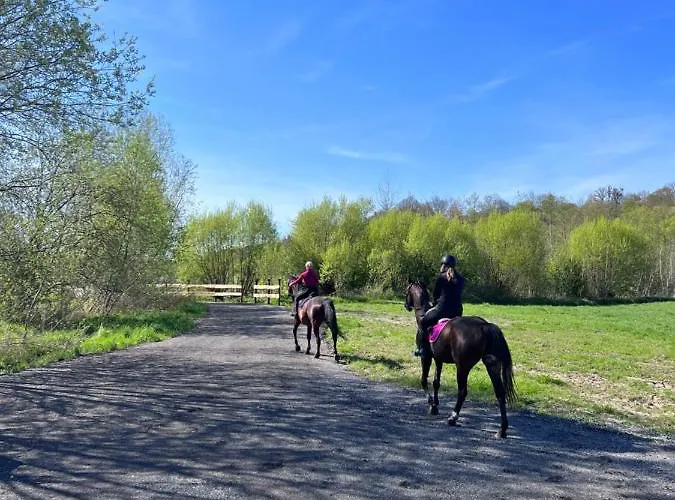 Vila Pod Lasem „2”