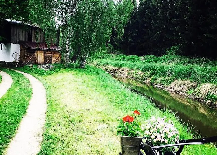 Pod Lasem „2” * Pasłęk